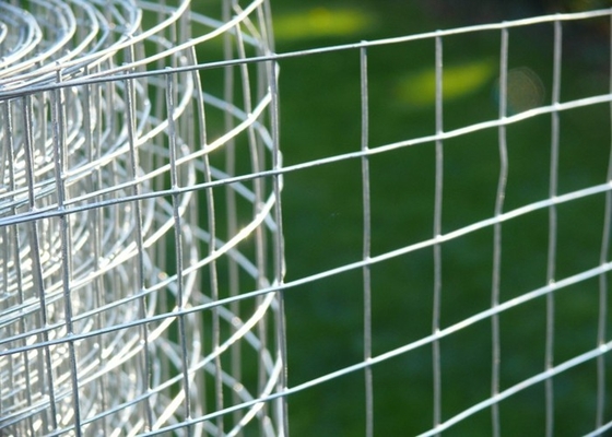 Draht des Edelstahl-304 316 Mesh Fence/0.5m-3M-Metalldraht Mesh Roll