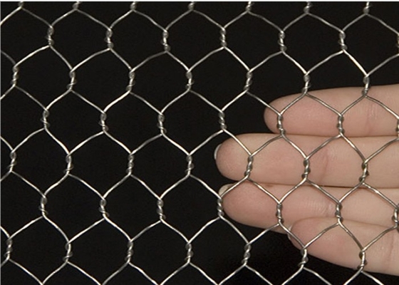0.5-2m Maschendraht Mesh Netting, sechseckiger Geflügel-Maschendraht