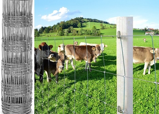 Schutz-Galvano galvanisierte Stahlvieh Zaun, Rotwild-/Wiesen-Draht-Zaun
